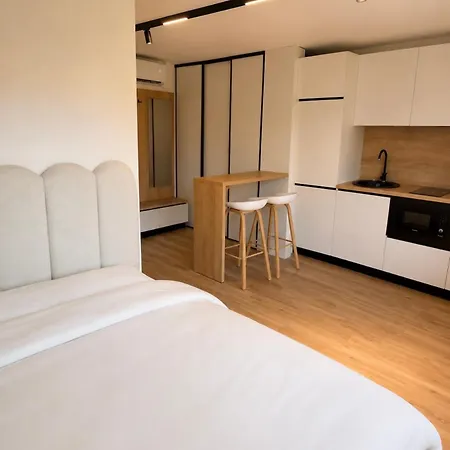 Hasdeu Elegant With Pool Appartement *